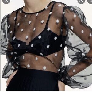 Zara Black Sheer Top with White Dots